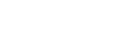 Guiding Eyes for the Blind